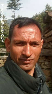 I am 44,Divorced,Hindu,Male  living in Himachal Pradesh,India